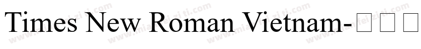Times New Roman Vietnam字体转换